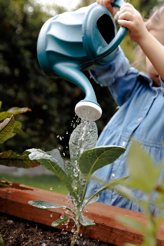 MN Nourish Foods Postpartum Package